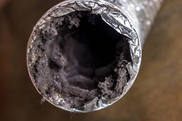 Best Dryer Vent Cleaning in Coleman, TX